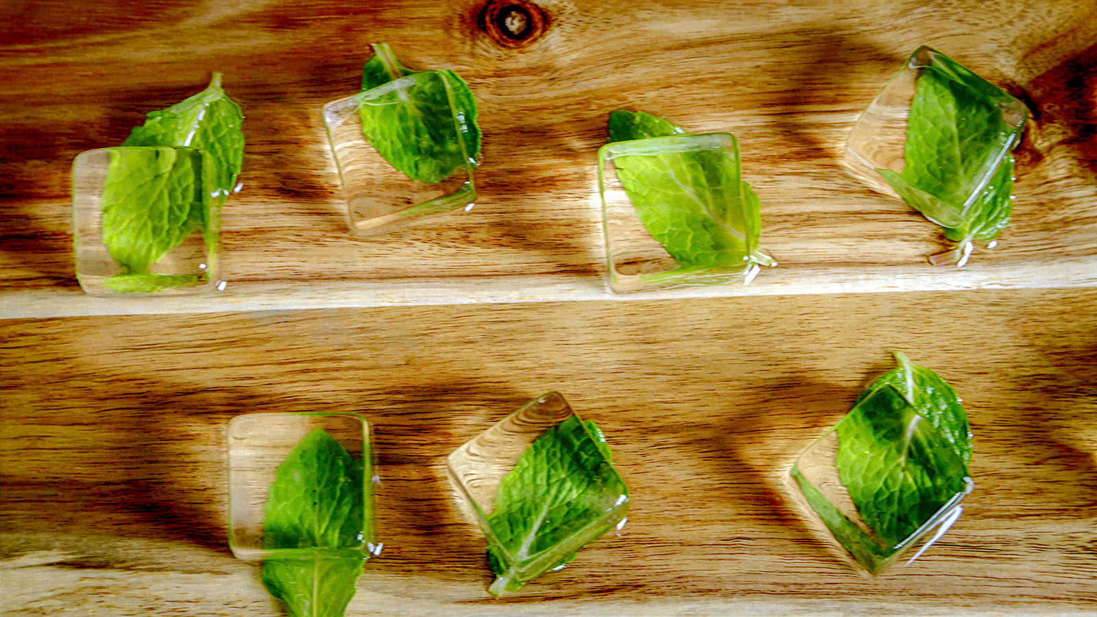 Small clear cubes sitting on mint leaves